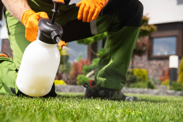 Best Cockroach Control Services  in Sherwood, OH