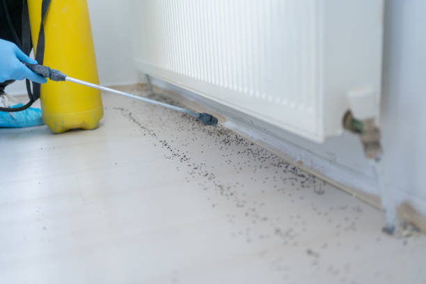 Best Best Pest Control Companies  in Sherwood, OH