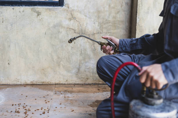 Best Local Pest Control Services  in Sherwood, OH